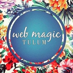 Web Magic Tulum profile picture
