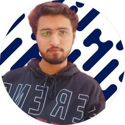 Syed Talha 🇵🇰 profile picture