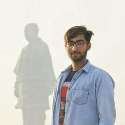 Yash Chauhan profile picture